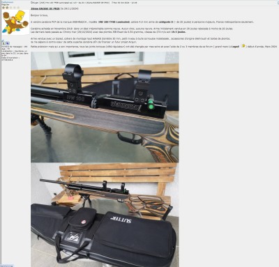 HW100TFSB-Airgun.jpg